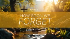 How Soon We Forget!