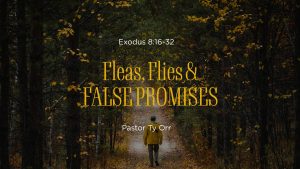 Fleas, Flies and False Promises