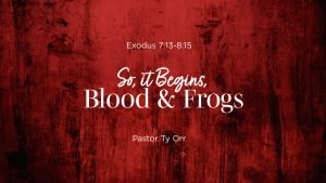 So, it Begins, Blood & Frogs