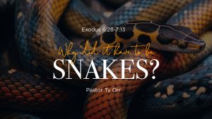 Why Did it Have to be Snakes?