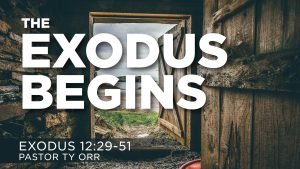 The Exodus Begins