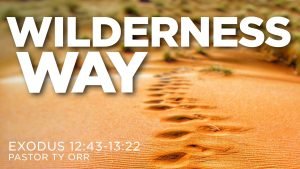 Wilderness Way Exodus 12:43-13:22