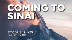 Coming to Sinai