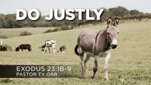 Do Justly