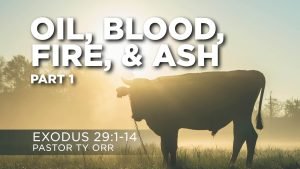 Oil, Blood, Fire, & Ash