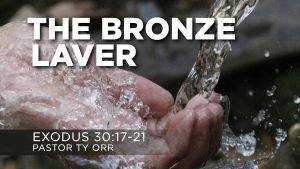 The Bronze Laver